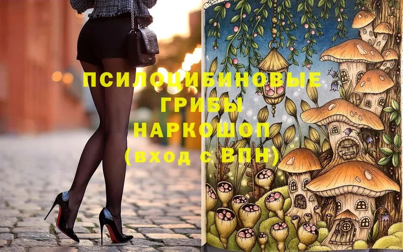 Галлюциногенные грибы Psilocybe  Каспийск 